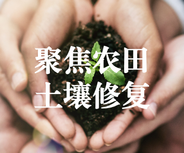 聚焦農(nóng)田土壤修復(fù)，保障糧食產(chǎn)品安全 ——踔厲奮發(fā)、篤行不怠，以奮斗之姿獻(xiàn)禮黨的二十大