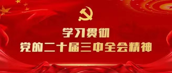 學(xué)習(xí)會(huì)議精神，貫徹落實(shí)工作 --川勘天晟源公司黨支部召開主題黨員大會(huì)